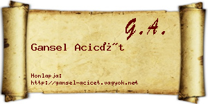Gansel Acicét névjegykártya